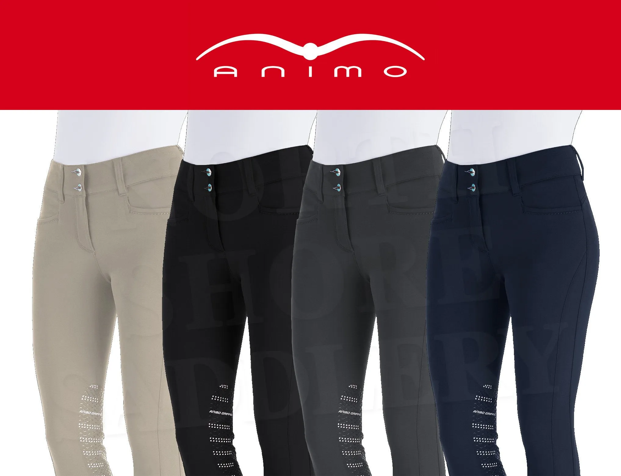 Animo Naspre Mid Rise Knee Patch Breech - SALE
