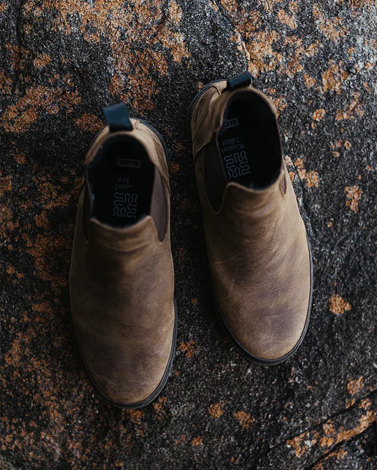 Globe Dover II Dark Brown/Wasted Talent