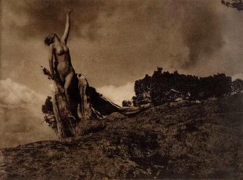 Soul of the Blasted Pine