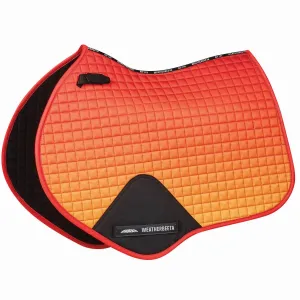 WeatherBeeta Prime Ombré All Purpose Pads